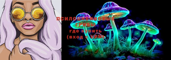 стафф Волосово