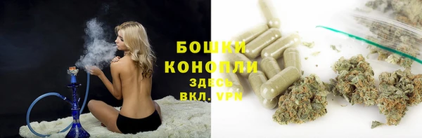 стафф Волосово