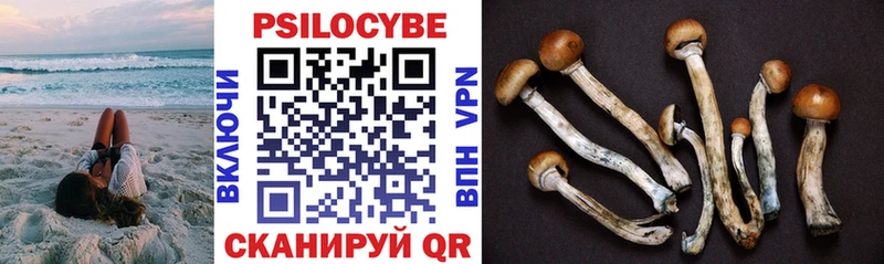 Псилоцибиновые грибы Psilocybine cubensis  наркотики  Лянтор 